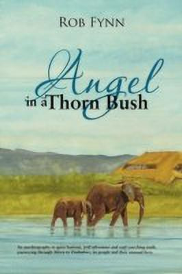 Angel in a Thorn Bush(English, Paperback, Fynn Rob)