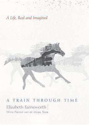 A Train Through Time(English, Electronic book text, unknown)