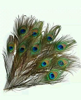 Kesar Zems Pack of 10 Decorative Feathers(40-45cm Peacock Feather)