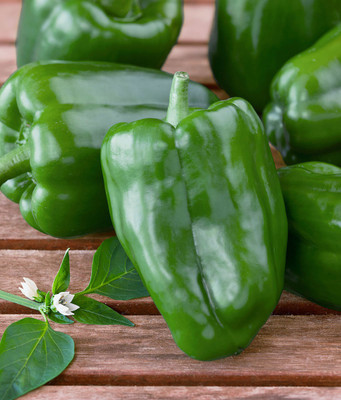 Paudha GREEN CAPSICUM Seed(10 per packet)