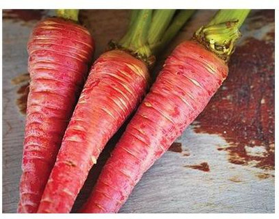Mozetto Red Carrot Seed(25 per packet)