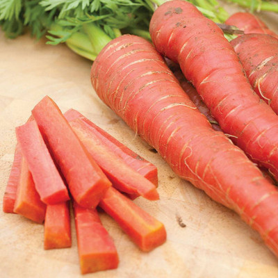 Mozetto Red Carrot Seed(25 per packet)