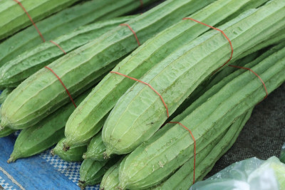 Mozetto Ridge Gourd Seed(50 per packet)