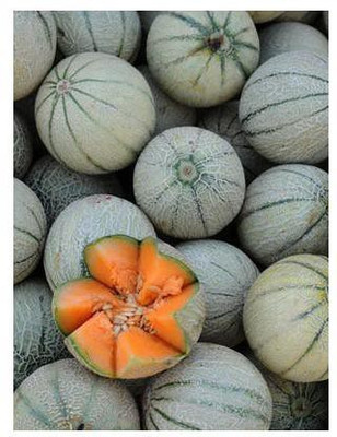 Mozetto Musk Melon Seed(50 per packet)