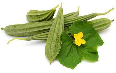 Mozetto Ridge Gourd Seed(10 per packet)