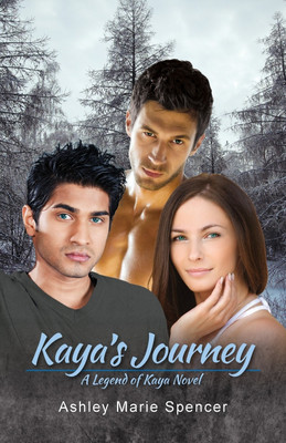 Kaya's Journey(English, Paperback, Spencer Ashley Marie)