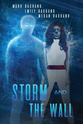 Storm and The Wall(English, Paperback, Bachand Mark)