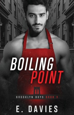 Boiling Point(English, Paperback, Davies E)