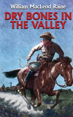 Dry Bones in the Valley(English, Paperback, Raine William MacLeod)