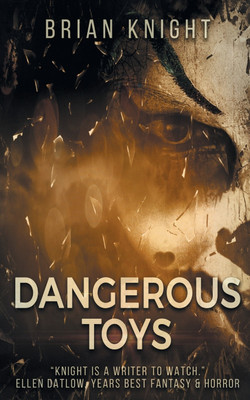 Dangerous Toys(English, Paperback, Knight Brian)
