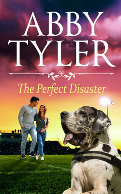 The Perfect Disaster(English, Paperback, Tyler Abby)
