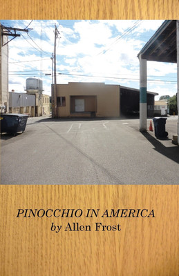 Pinocchio in America(English, Paperback, Frost Allen)