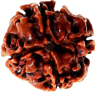vastu nakshatra 4 mukhi Rudraksha Wood Pendant