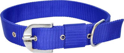 Manal Enterprises Dog Everyday Collar(Medium, Blue)