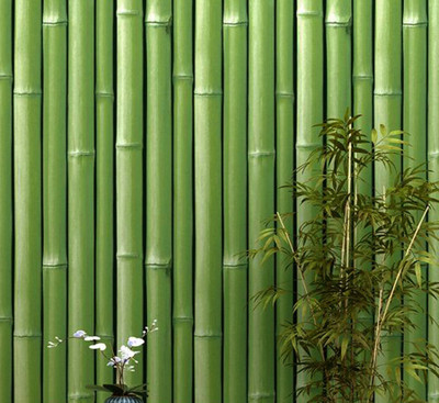 akadeco Paper, Vinyl Classics Green Wallpaper(L x W: 330 cm x 45 cm)