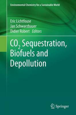 Co2 Sequestration, Biofuels and Depollution(English, Electronic book text, unknown)