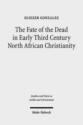 The Fate of the Dead in Early Third Century North African Christianity(English, Paperback, Gonzalez Eliezer)