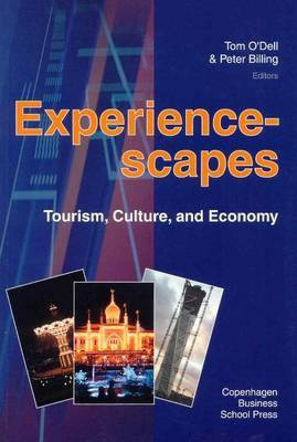 Experiencescapes(English, Paperback, unknown)