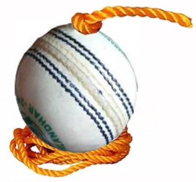 L'AVENIR Cricket Bat Knocking / Hanging / Practice / Training Ball Cricket Training Ball(Pack of 1, White)