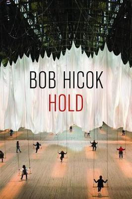 Hold(English, Paperback, Hicok Bob)