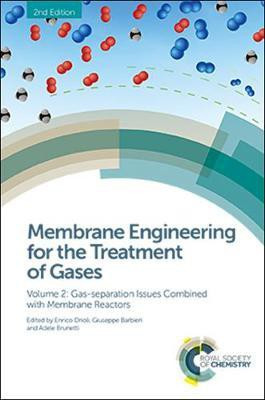 Membrane Engineering for the Treatment of Gases(English, Electronic book text, unknown)