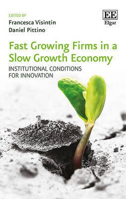 Fast Growing Firms in a Slow Growth Economy(English, Hardcover, unknown)