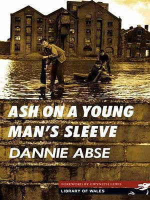 Ash on a Young Man's Sleeve(English, Electronic book text, Abse Dannie)