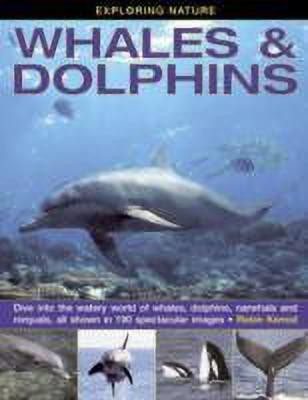 Exploring Nature: Whales & Dolphins(English, Hardcover, Kerrod Robin)
