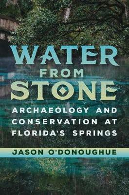 Water from Stone(English, Electronic book text, O'Donoughue Jason M.)