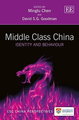 Middle Class China(English, Hardcover, unknown)