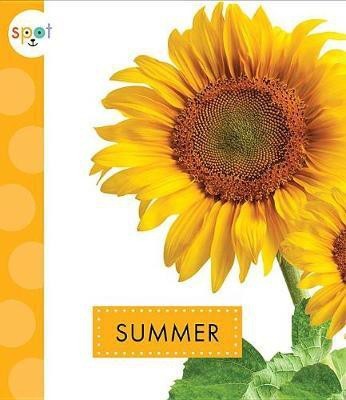 Summer(English, Paperback, Schuh Mari C)