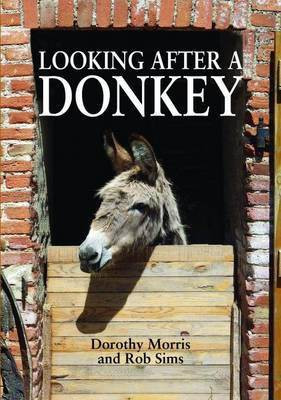 Looking After a Donkey(English, Paperback, Morris Dorothy)
