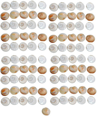 Saptraag Gomti Chakra (108 pc, 1 cm) Stoneware Yantra(Pack of 1)
