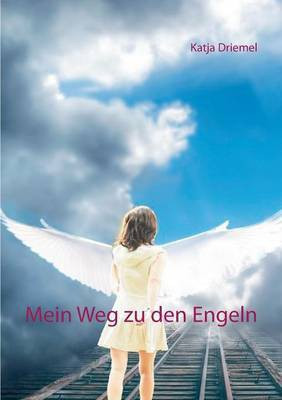 Mein Weg zu den Engeln(German, Paperback, Driemel Katja)