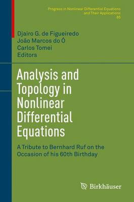 Analysis and Topology in Nonlinear Differential Equations(English, Electronic book text, unknown)