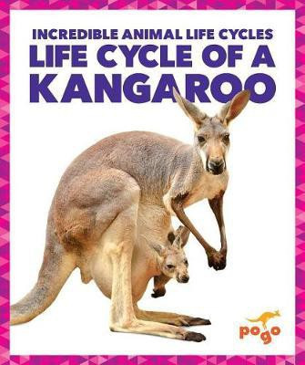 Life Cycle of a Kangaroo(English, Hardcover, Kenney Karen Latchana)