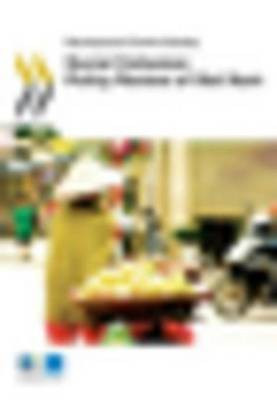Social Cohesion Policy Review of Viet Nam(English, Electronic book text, Ocde Oecd)