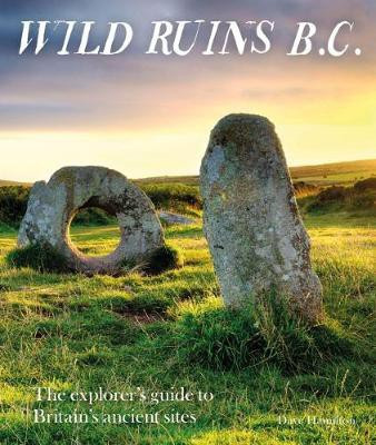Wild Ruins BC(English, Paperback, Hamilton Dave)