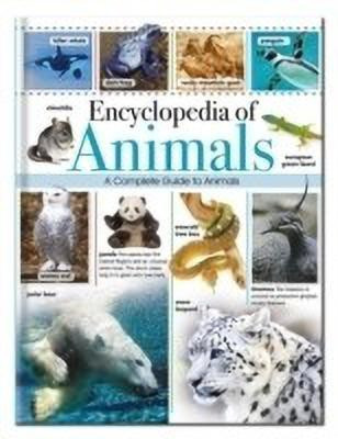 Encyclopedia of Animals(English, Hardcover, unknown)