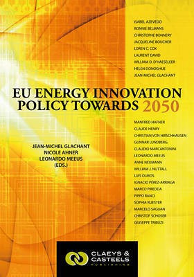 European Energy Studies Volume II: EU Energy Innovation Policy Towards 2050(English, Hardcover, unknown)