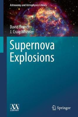 Supernova Explosions(English, Hardcover, Branch David)