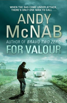 For Valour(English, Electronic book text, McNab Andy)