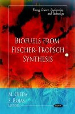 Biofuels from Fischer-Tropsch Synthesis(English, Paperback, Rojas S)