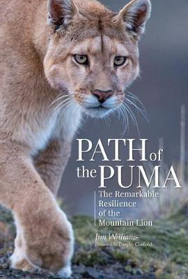 Path of the Puma(English, Hardcover, Williams Jim)