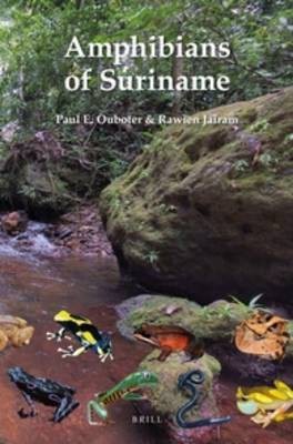 Amphibians of Suriname(English, Paperback, Ouboter Paul E.)