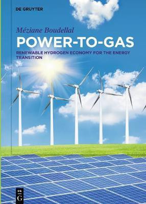 Power-to-Gas(English, Electronic book text, Boudellal Meziane)