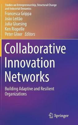 Collaborative Innovation Networks(English, Hardcover, unknown)