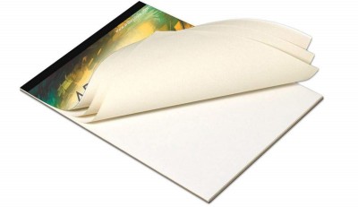 Eascan Art 8 x 10 Cotton Medium Grain Canvas Pad (Set of 1)(White)