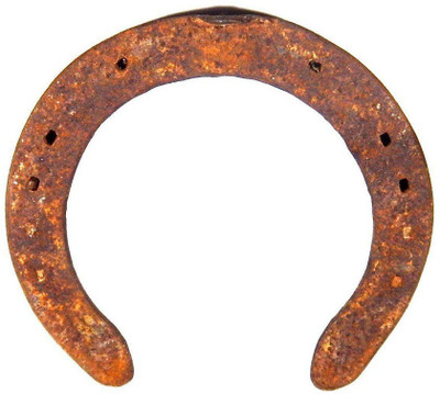 Saptraag Black Horse Shoe (Kale Ghode Ki Naal) 13 cm Iron Yantra(Pack of 1)