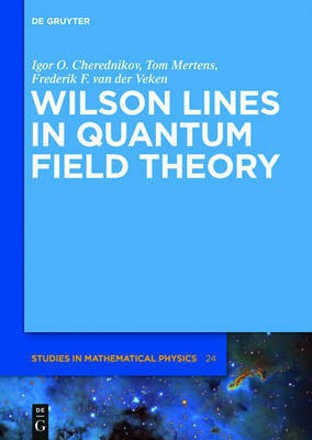 Wilson Lines in Quantum Field Theory(English, Hardcover, Cherednikov Igor Olegovich)